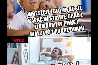 Lato 2022 - najlepsze memy na pierwszy dzień lata