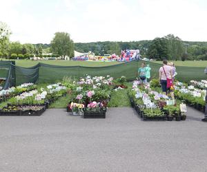 Parkowy Kiermasz Kwiatowy w Parku Śląskim