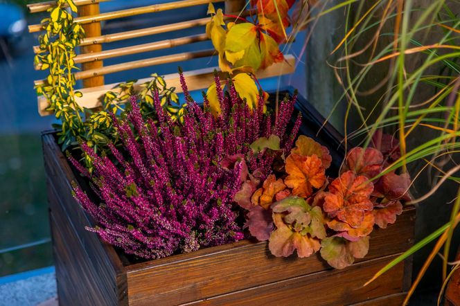 Jesienna metamorfoza balkonu