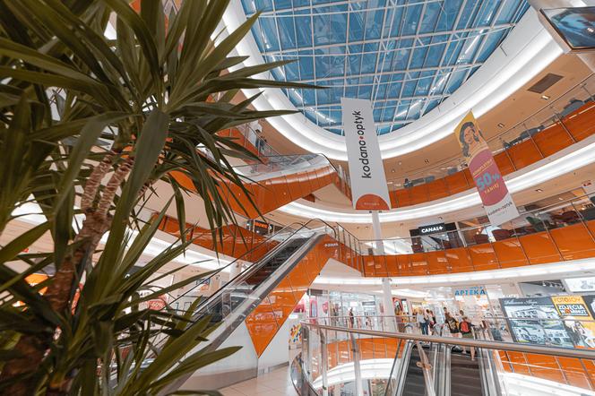 Galeria Nowy Świat: Sprawdź grudniowe promocje!