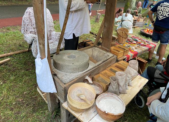 Wioska słowiańska w parku na Zdrowiu w Łodzi