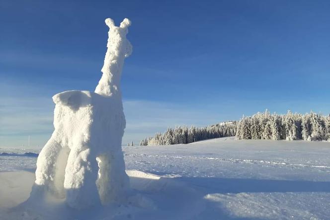 W Beskidach pojawiła się... żyrafa ze śniegu. To dzieło robi wrażenie 