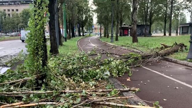 Włochy. Śmiertelna ofiara burz na północy, kilku rannych