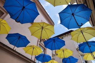 Na Tarnów wylał się hejt z powodu... parasolek. Internautom nie spodobały się kolory