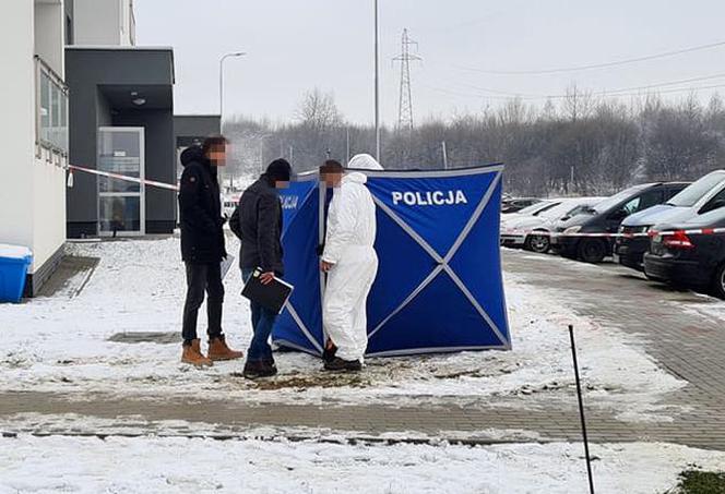 Krwawa masakra w Rzeszowie. Wołała pomocy, gdy dźgał ją nożem kuchennym. Nowe fakty [ZDJĘCIA]