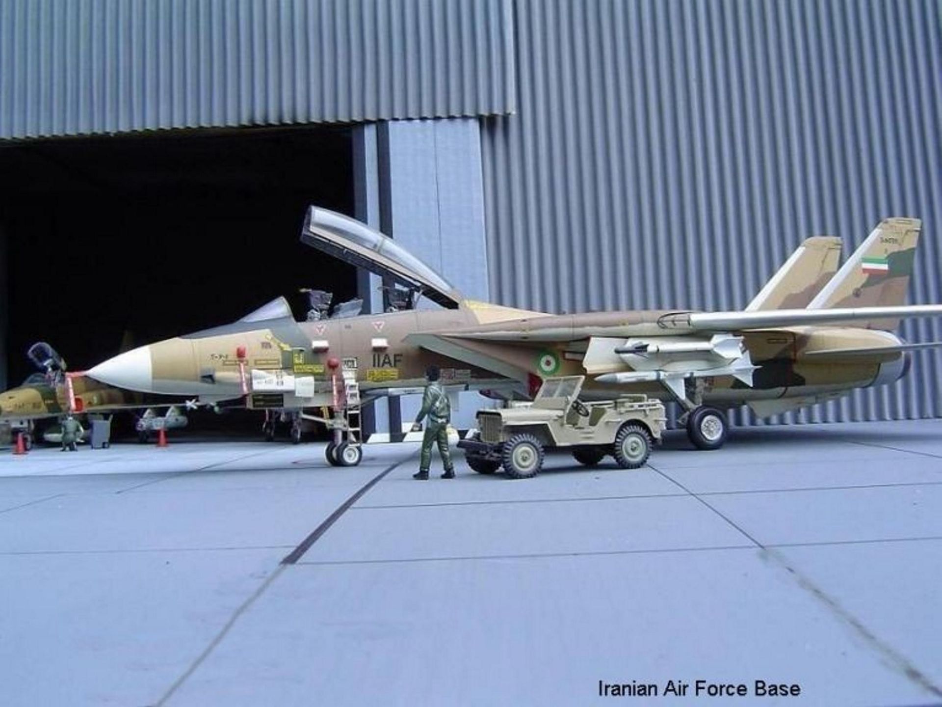 F-14 Tomcat
