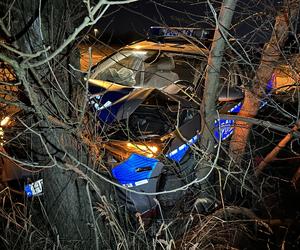 Policjanci, którzy rozbili radiowóz na drzewie, usłyszeli zarzuty! Posłanki interweniują w Komendzie Stołecznej Policji 