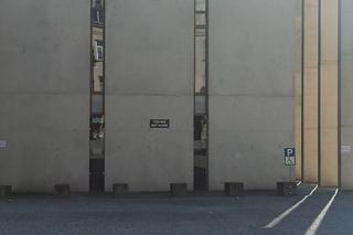 Open City / Otwarte Miasto 2023 w Lublinie. Festiwal pod hasłem „Shapes of beauty”