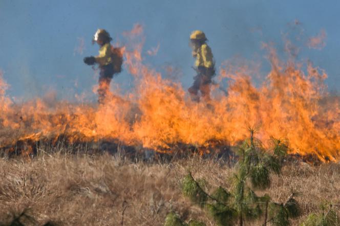  Zagrożenie pożarowe w Kujawsko-Pomorskiem! Instytut Badawczy Leśnictwa alarmuje