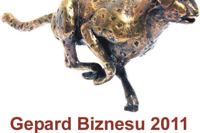 Certyfikat Gepard Biznesu 2011