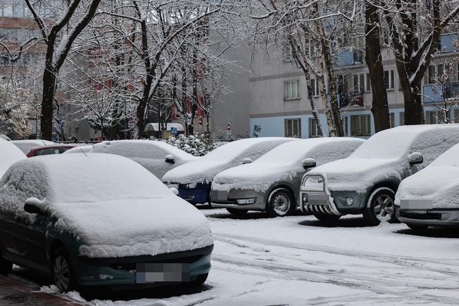 Śnieżny armagedon w Warszawie. Pierwszy atak zimy sparaliżował stolicę. Ogłoszono akcję ALFA