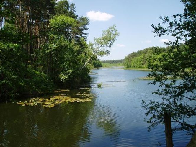 Nadleśnictwo Sieraków 