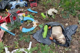 Zgroza w lesie pod Świeciem! Martwy pies w worku foliowym ze związanymi łapami. Policja szuka sprawcy bestialskiego czynu