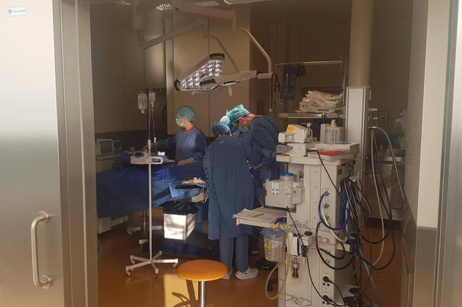 Szpitale na Warmii i Mazurach stopniowo wznawiają zabiegi planowe.