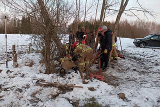 Klacz wpadła do studni. Strażacy uratowali wystraszone zwierzę