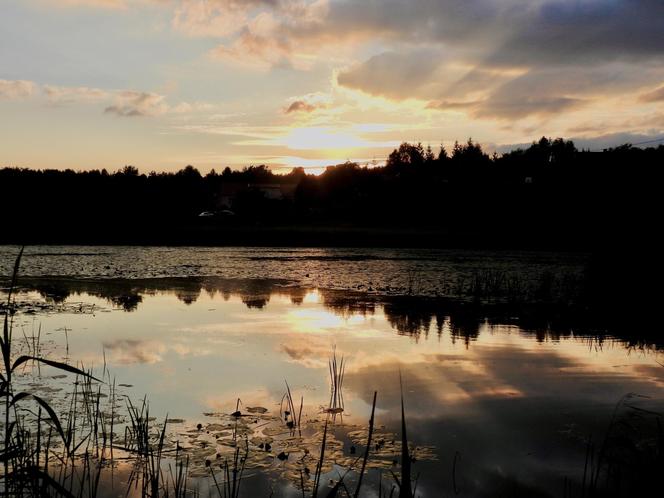 Szukacie ciszy i spokoju nad wodą? Zalew Umer to świętokrzyska oaza