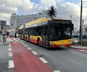 Koszmarny wypadek przy palmie. Autobus przejechał pieszą, a ulicą polała się krew