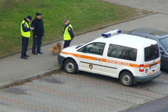 Strażnicy miejscy z Ostrzeszowa wyposażeni w kamery osobiste - interwencje mogą być nagrywane