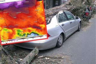 Niszczący cyklon Ulf uderzy w Polskę! Może łamać drzewa i uszkadzać budynki! 