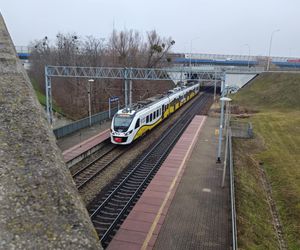 Tak wygląda uszkodzony dach nad przystankiem tramwajowym we Wrocławiu. Miasto zabezpiecza go ogromnymi podporami 