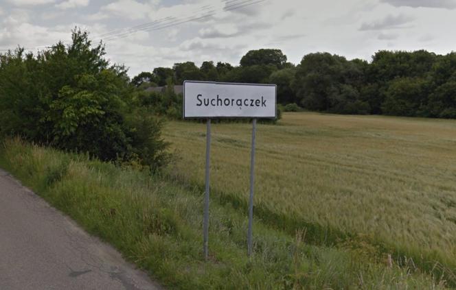 Suchorączek