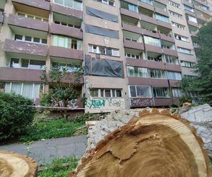 Wielkie drzewo runęło im na blok. „Widziałam, jak na mnie leci!”