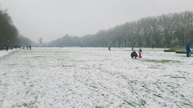 Noworoczny atak zimy w Szczecinie