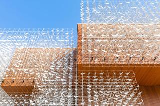  Centrum Sztuki i Nauki o Drewnie Xylopolis