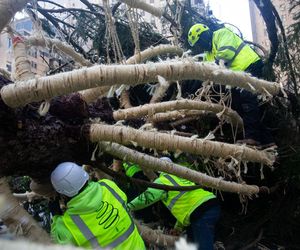 W Nowym Jorku stanęła choinka. Tłumy towarzyszyły jej transportowi
