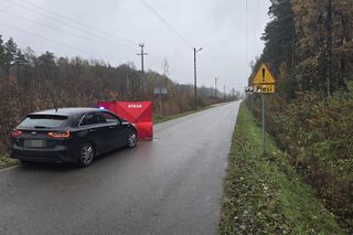 Zwłoki mężczyzny leżały w przydrożnym rowie. Makabryczne odkrycie pod Warszawą. „Pomiędzy torami, a drogą”