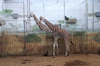 Nowy cennik w zoo w Zamościu. Zimą zwiedzisz je taniej!