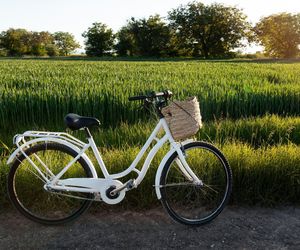 Nowa trasa rowerowa z Olsztyna już niebawem. Poprowadzi przez malownicze tereny