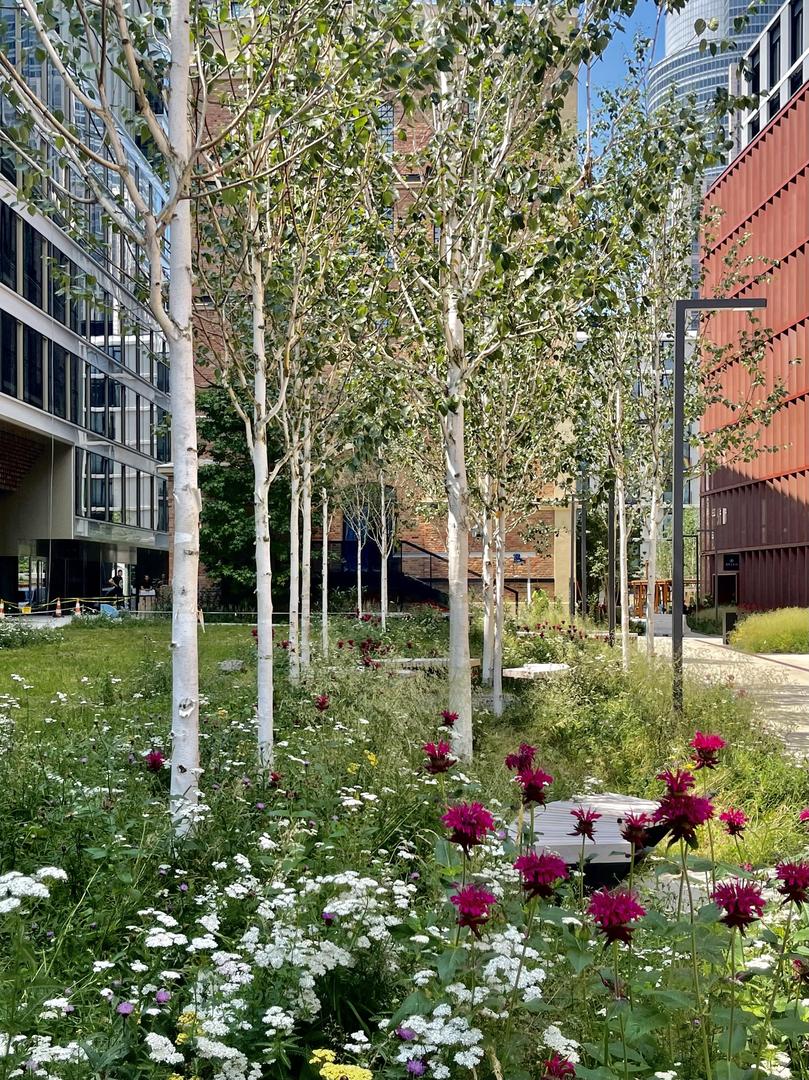 Browary Warszawskie, proj. JEMS Architekci