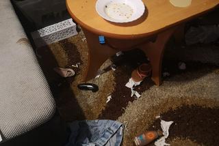 W takim mieszkaniu przebywał sześcioletni chłopiec z Bytomia