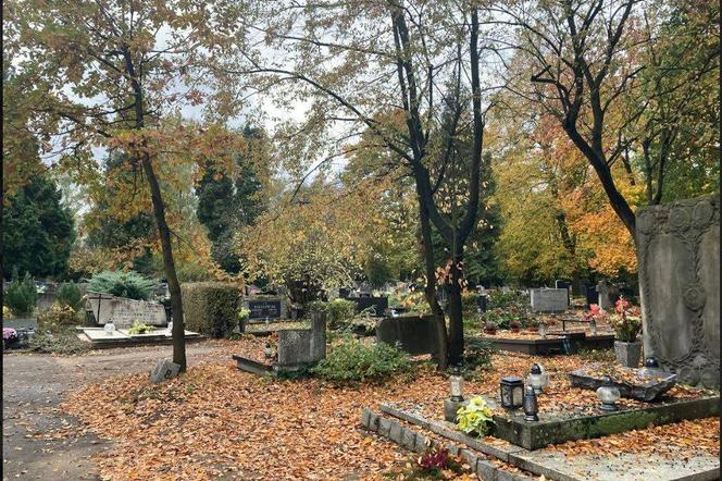 Kwesta na zabytkowym cmentarzu na Jeżycach 
