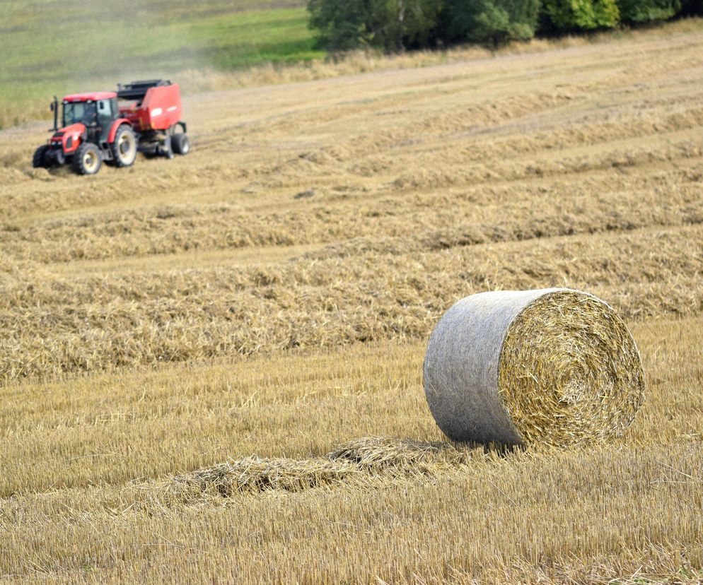 Kontrole ARMiR w kilku gminach na Podkarpaciu. Poznaliśmy listę miejsc 