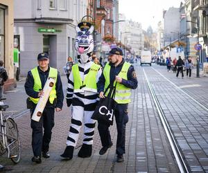 Zebra Basia rozdawała odblaski na chorzowskiej Wolce 