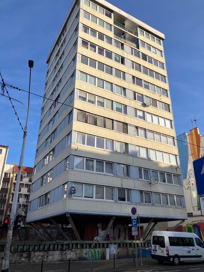 Trzonolinowiec we Wrocławiu