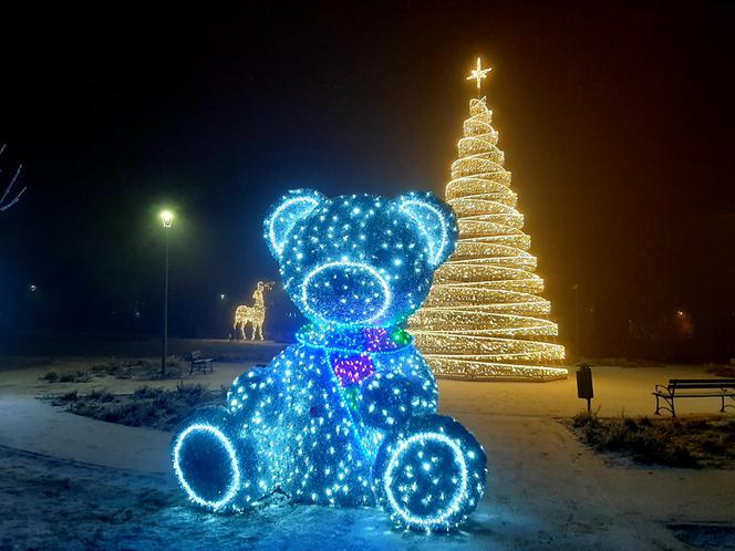 Ze szronem są jeszcze piękniejsze! Świąteczne iluminacje w Łomży