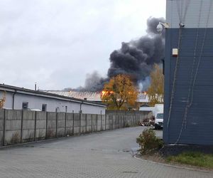 Pożar hali w Sadowie