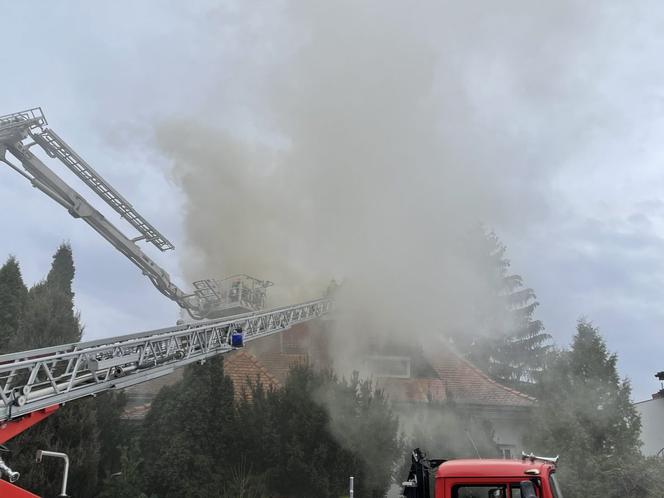 Ogromny pożar w Łomiankach. Z żywiołem walczy 14 zastępów straży pożarnej