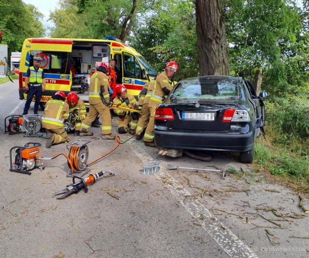 Śmiertelny wypadek pod Skierniewicami. 68-latek uderzył w drzewo [ZDJĘCIA].