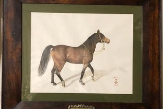 Nowe działa Marka Suskiego