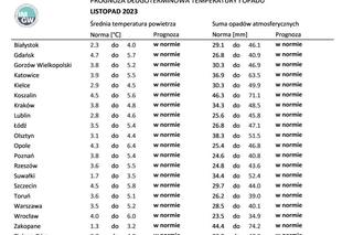 Pogoda w Wigilię i Święta Bożego Narodzenia zaskoczy! IMGW opublikowało prognozę