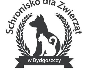 Pomóż zwierzakom ze schroniska