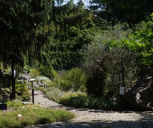 Ogród Botaniczny w Poznaniu 