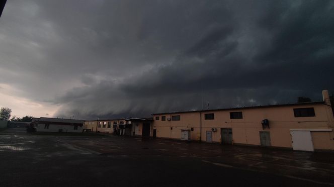 Potężne burze nad Polską. Drzewa spadały na samochody, setki interwencji straży pożarnej 