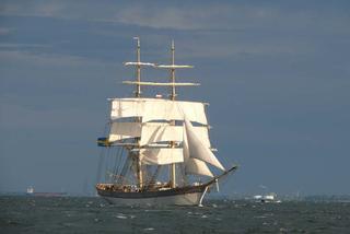 ParadaZagleGdyni2014_FotMZwierz_710248
