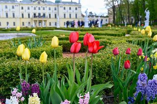 Park Branickich w Białymstoku