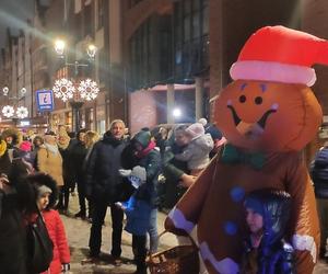 Rozświetlenie elbląskiej choinki miejskiej